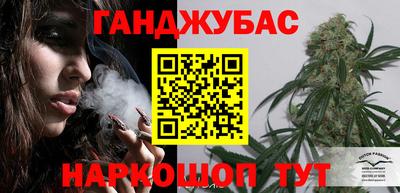 прущие грибы Новозыбков